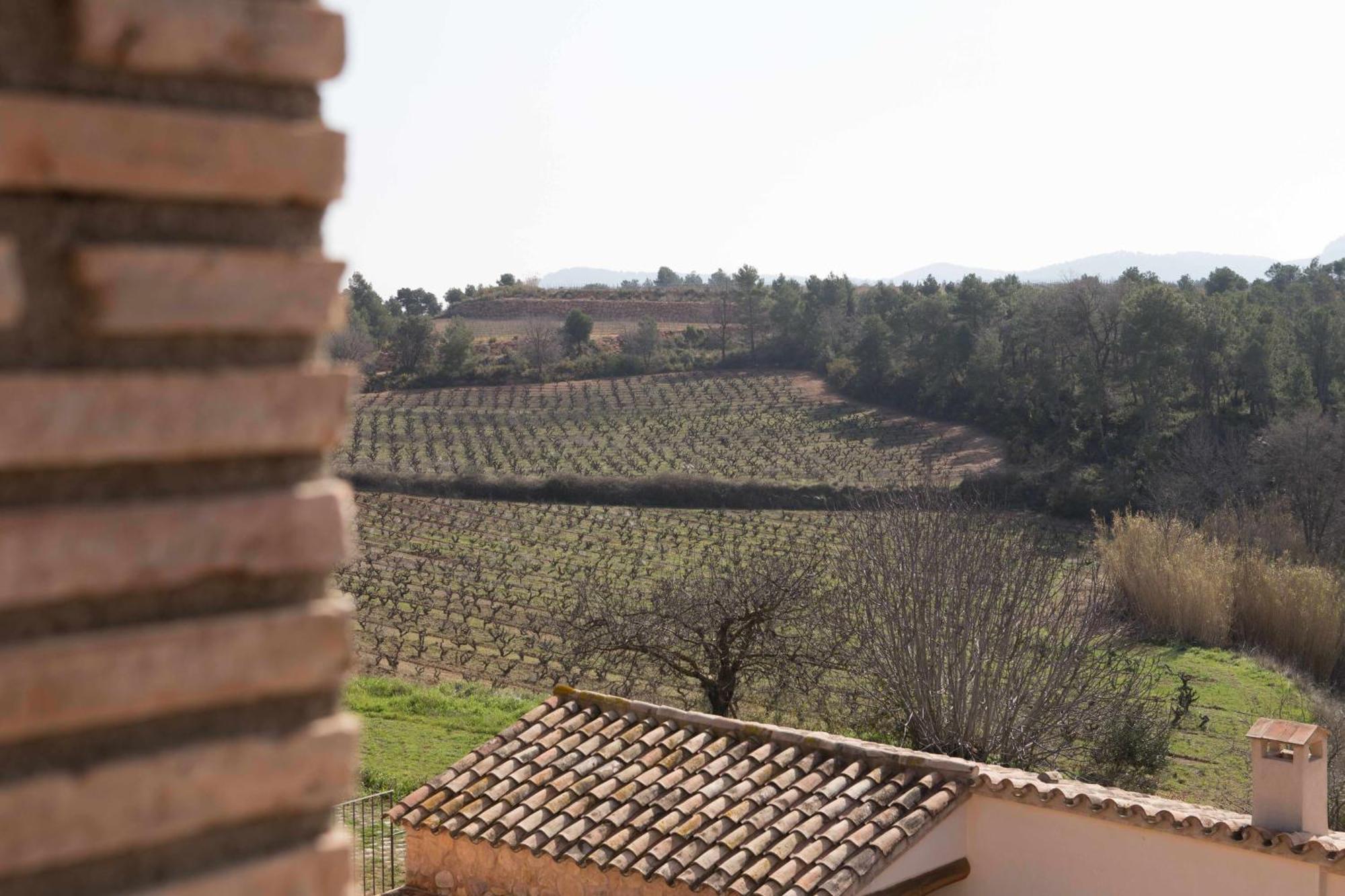 Casa Rural Masia Les Apieres El Pla de Manlleu Εξωτερικό φωτογραφία